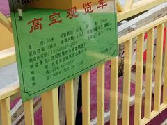 -摩天活力城·摩天轮