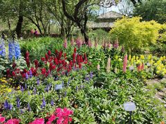 -国家植物园南园