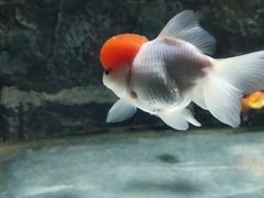 -苏州海洋馆