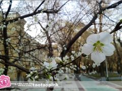 -哈尔滨师范大学(江南校区)