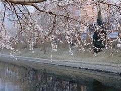 -北京丽景湾国际酒店