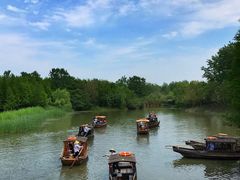 -溱湖国家湿地公园