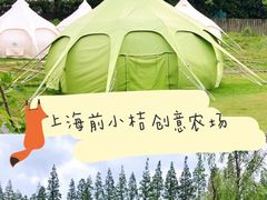 -前小桔亲子创意农场·草莓采摘·露营烧烤