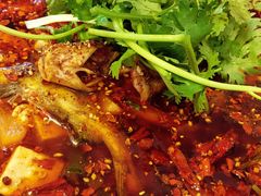 -胖大姐黄辣丁鱼庄(新津店)