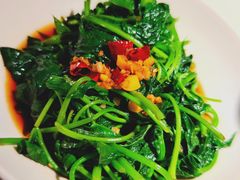 -佬肥猫(国华广场店)