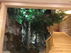 -阿斯牛牛·凉山菜(新会展店)