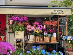 -溪岸路花鸟市场