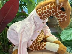 -ZOO COFFEE动物园咖啡(红山森林动物园店)
