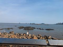-野狸岛