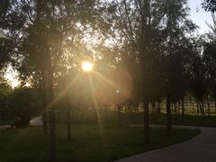 -东郊湿地公园