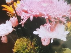 -海立阁海鲜江浙菜(漕河泾印象城店)