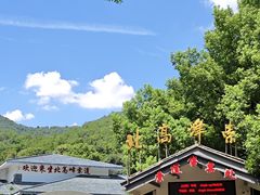 -灵顺寺