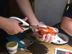 -大鸽饭(岗顶店)