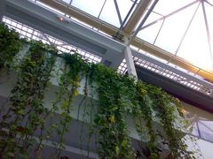 透天-绿色时代大酒店