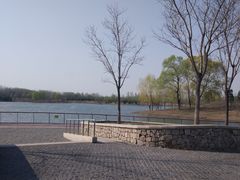 -东郊湿地公园