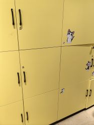 -洗脸猫·洗脸吧