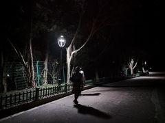 -金鸡山公园