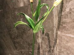 -香融府·烤鸭·家常菜(花乡奥莱店)