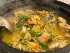 黄焖小白鲨-饭怕鱼·黄焖鲟龙鱼(湖大店)