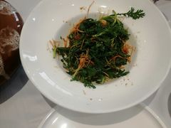 -沪碟·精菜坊(闵行店)