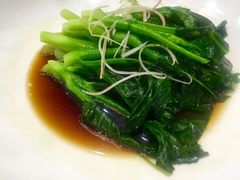 -食神鱼头佛跳墙(百子湾旗舰店)