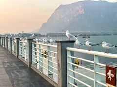 -海埂大坝