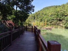 -广州白江湖森林公园