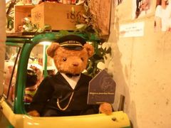 -济州岛泰迪熊博物馆