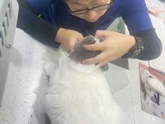 -佳雯宠物医院(金华南路分院)