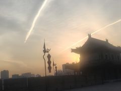-清真李唯一优质肉丸糊辣汤