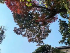 -莫干山风景区