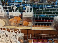 -蓝湾碧波·老字号·疍家非遗海上餐厅