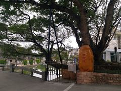 -石炮台公园