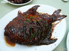 红烧鲳鱼-春餐厅