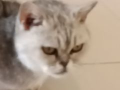 -平行世界·猫咖(首经贸店)