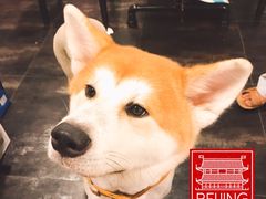 -虎虎龙虾•9年湖北匠(双井店)
