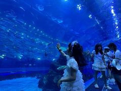 -成都浩海立方海洋公园