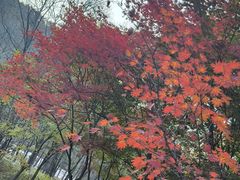 -九鼎铁刹山风景区