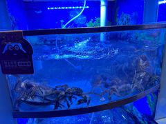 -七欣天香辣蟹火锅(上海银亿滨江店)