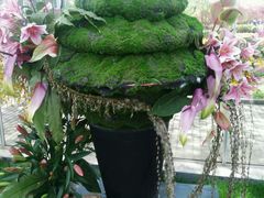 -上海鲜花港
