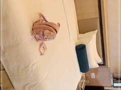 -上海富悦大酒店(松江店)