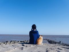 -南汇嘴观海公园