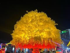 -鼎盛王朝康熙大典实景演出