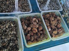 -老太太海鲜城(森林公园任家台店)