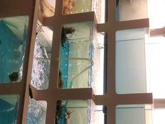 -质烤烤物·活烤海鲜(质烤总店)