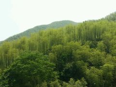 -山沟沟景区