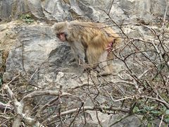 -重庆云阳龙缸景区