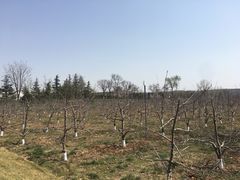 -习仲勋故居