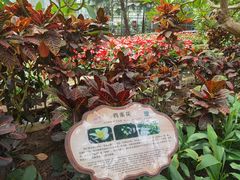 -南山植物园