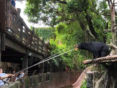 -长鹿旅游休博园